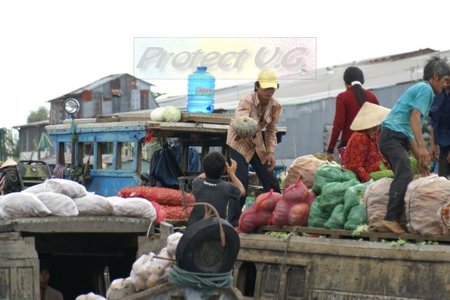 2010avietnam24.JPG
