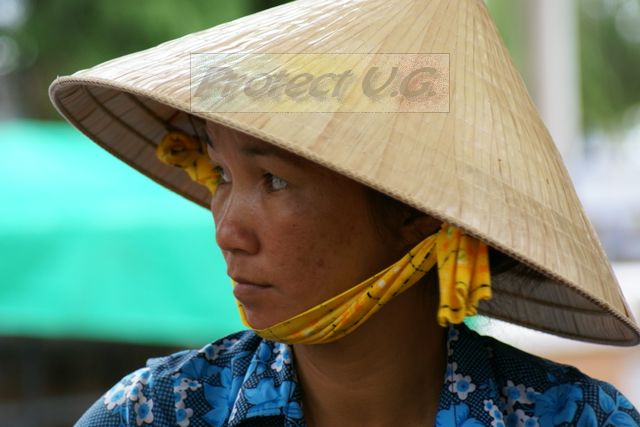 2010avietnam26.JPG