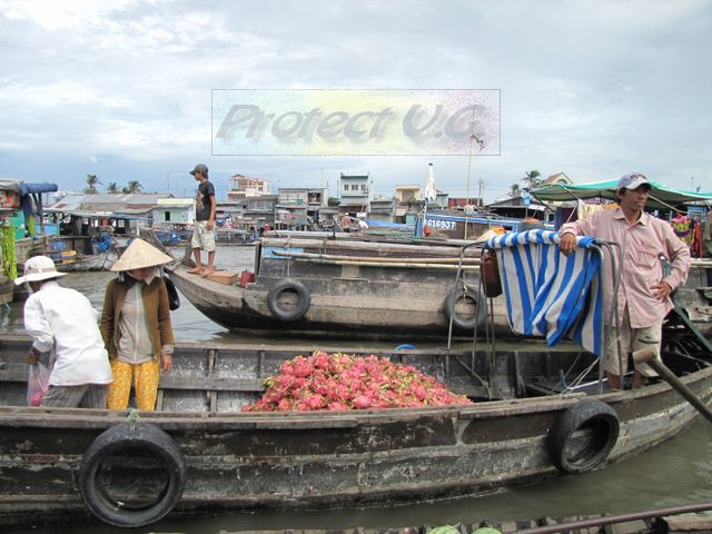 2010avietnam34.JPG