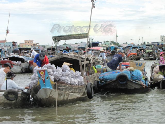 2010avietnam35.JPG
