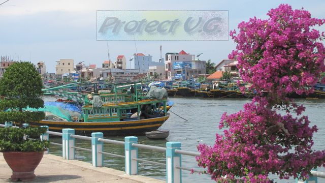 2010avietnam38.JPG