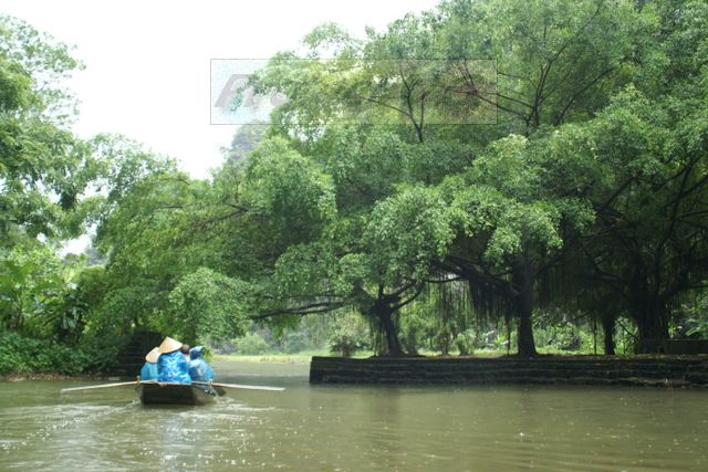 2010avietnam6.JPG - La baie d'Along terrestre