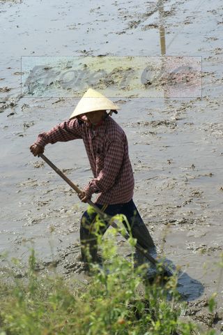 2010avietnam8.JPG