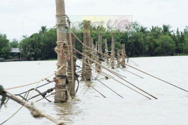 2010bvietnam16.JPG