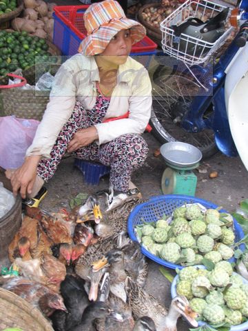 2010bvietnam34.JPG