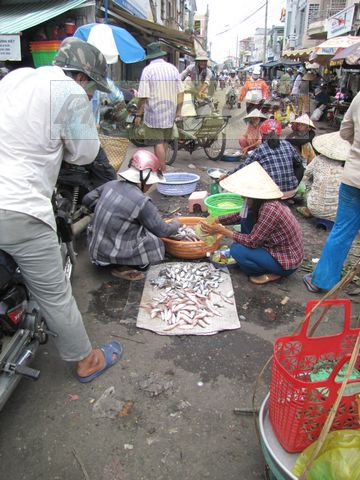 2010bvietnam36.JPG