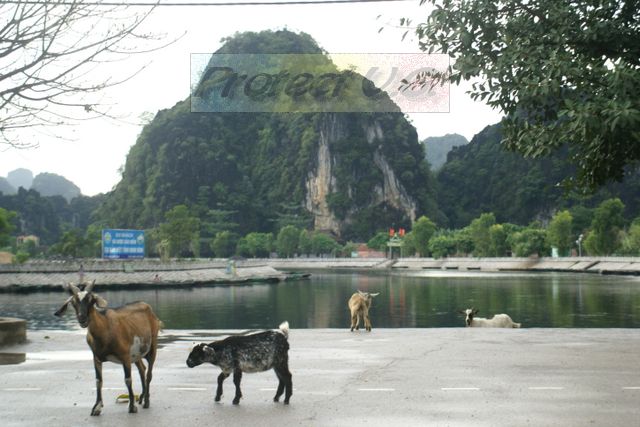 2010bvietnam4.JPG