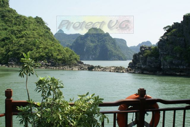 2010bvietnam6.JPG