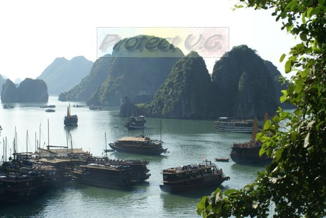 2010bvietnam8.JPG
