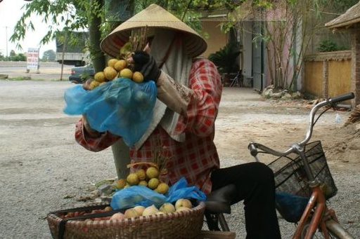 2010vietnam10.JPG