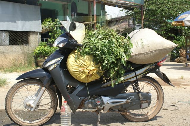 2010vietnam32.JPG