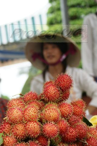 2010vietnam48.JPG
