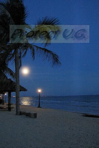 2010vietnam59.JPG