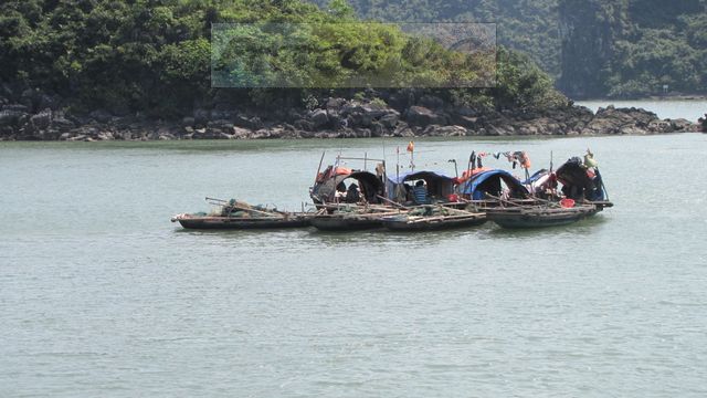 2010vietnam65.JPG