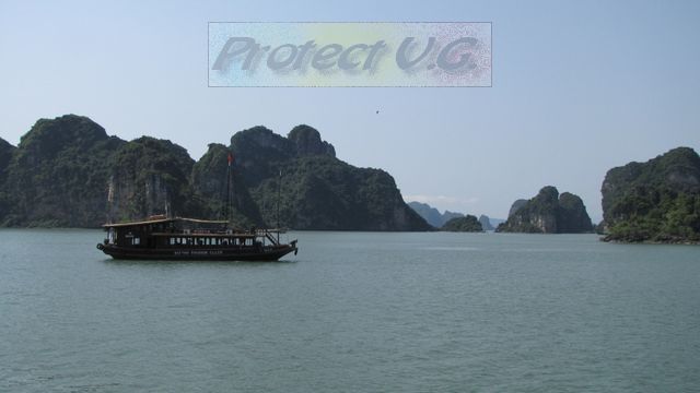 2010vietnam66.JPG