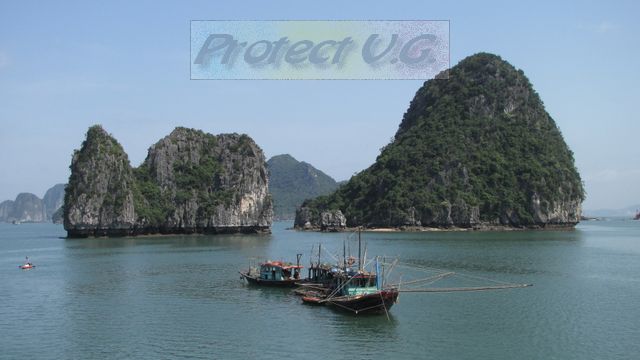 2010vietnam68.JPG