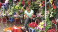 2010vietnam64